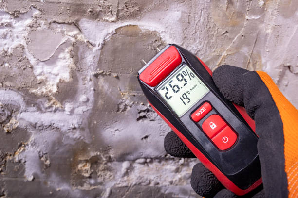 Best Post-Remediation Services in Mauriceville, TX