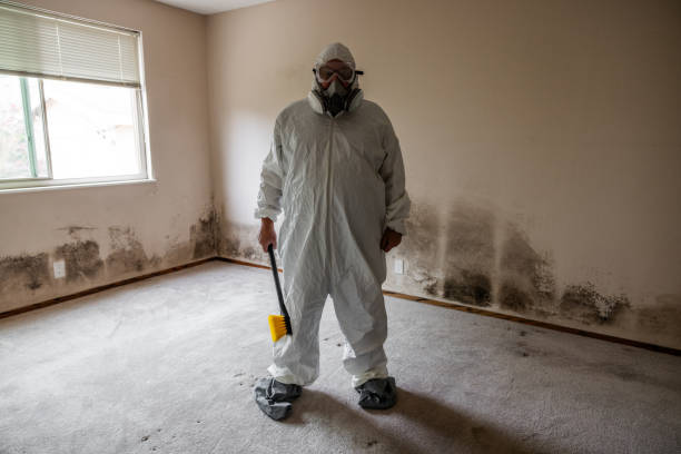 Best Bathroom Mold Remediation in Mauriceville, TX